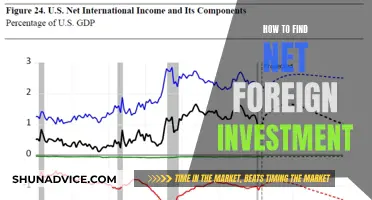 Unlocking Foreign Investment: A Comprehensive Guide to Net Foreign Investment