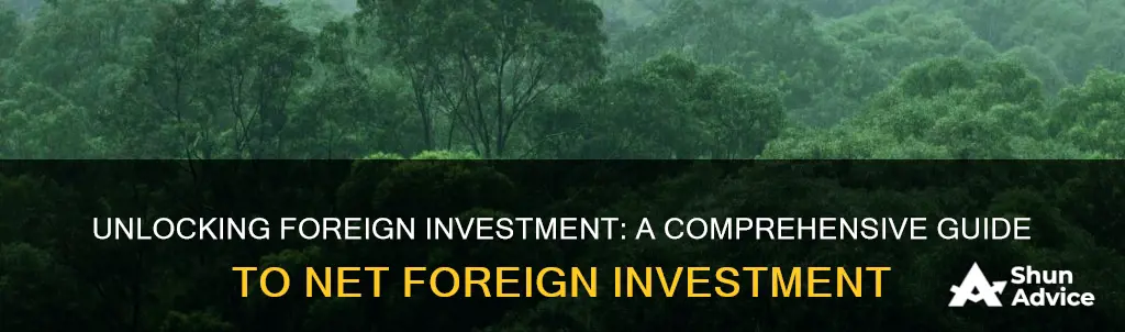 how to find net foreign investment