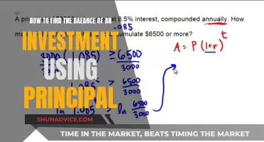 Finding Investment Balance: Principal as the Key