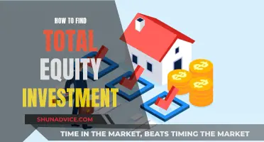 Calculating Total Equity Investment: A Comprehensive Guide