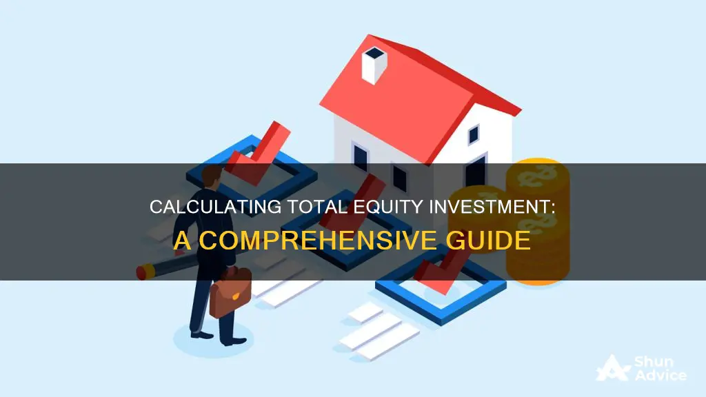 how to find total equity investment