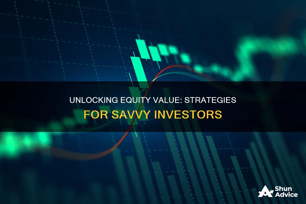 how to find value of equity for an investment