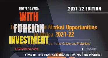 Unlocking Africa's Potential: Strategies for Foreign Investment Success