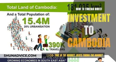 Unlocking Cambodia's Potential: A Guide to FDI Success