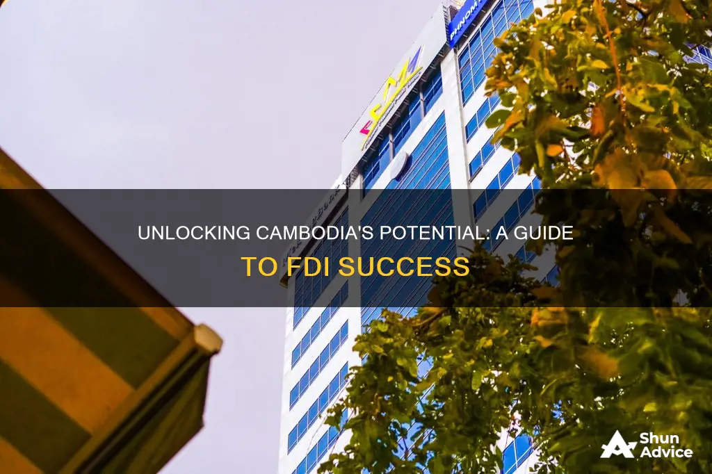 how to foreign direct investment to cambodia