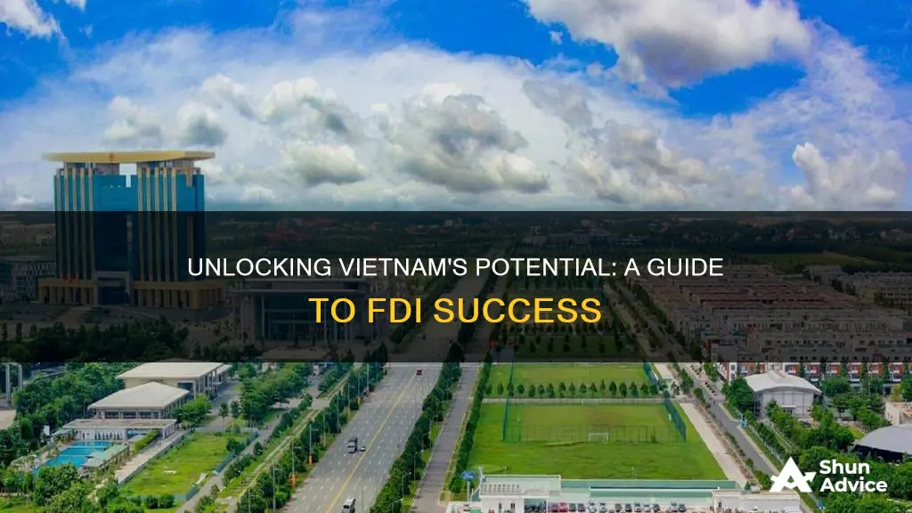 how to foreign direct investment to vietnam