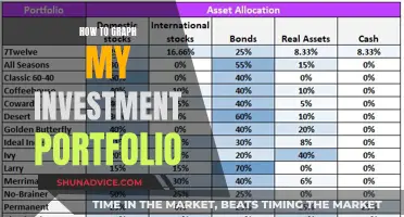 Visualizing Your Investment Portfolio: A Graphical Guide