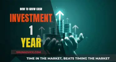 Strategies to Maximize Cash Investments in Just One Year