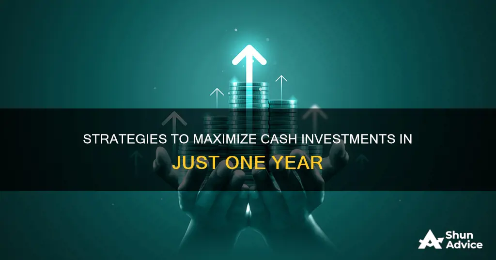 how to grow cash investment 1 year