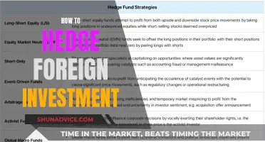 Protecting Your Foreign Investment: A Comprehensive Guide to Hedging Strategies