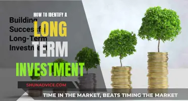 Unveiling the Secrets: A Guide to Spotting Long-Term Investment Gems