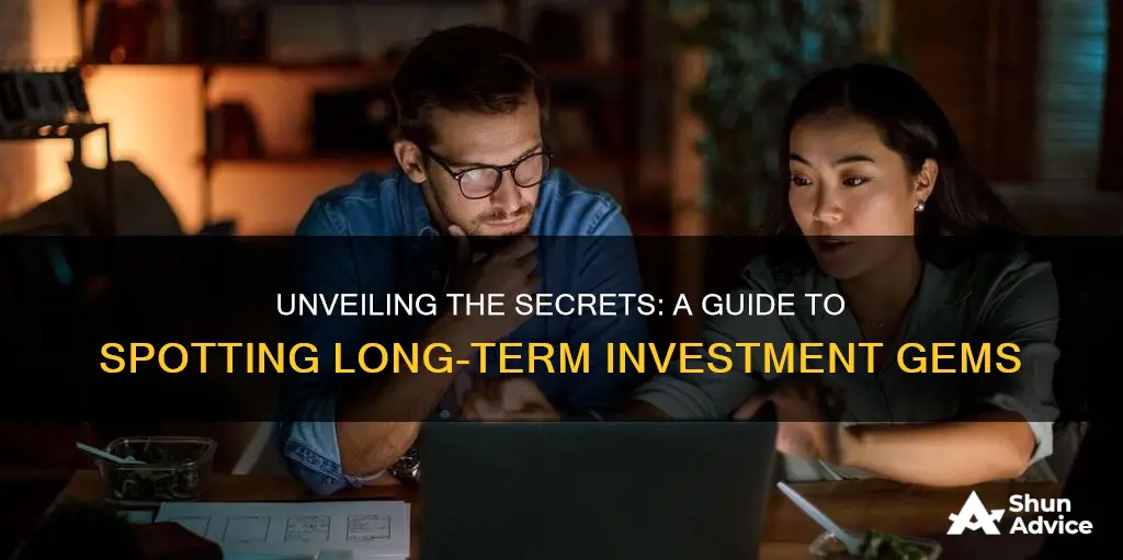 how to identify a long term investment