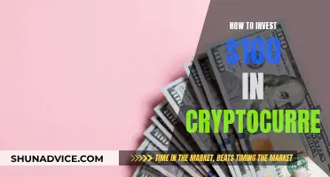 A Beginner's Guide: Investing $100 in Crypto