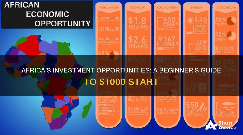 how to invest 1 000 dollars in africa