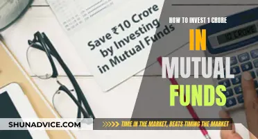 Smart Mutual Fund Investment Strategies for Your 1 Crore