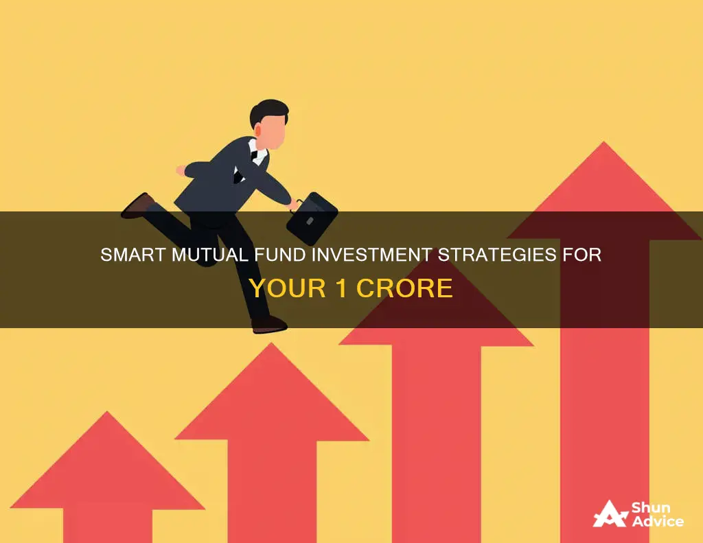 how to invest 1 crore in mutual funds