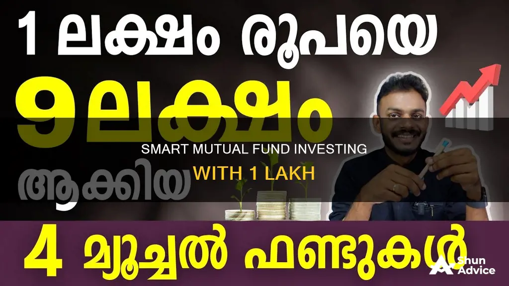 how to invest 1 lakh in mutual fund