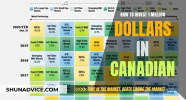 Maximizing Your Million: Canadian Investment Strategies for Success