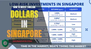 Maximizing Your Million: Strategies for Investing in Singapore's Market