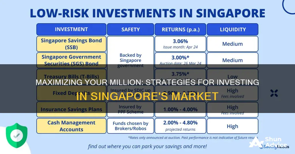 how to invest 1 million dollars in singapore