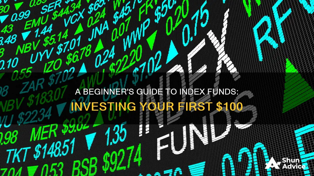 how to invest 100 dollars in index funds