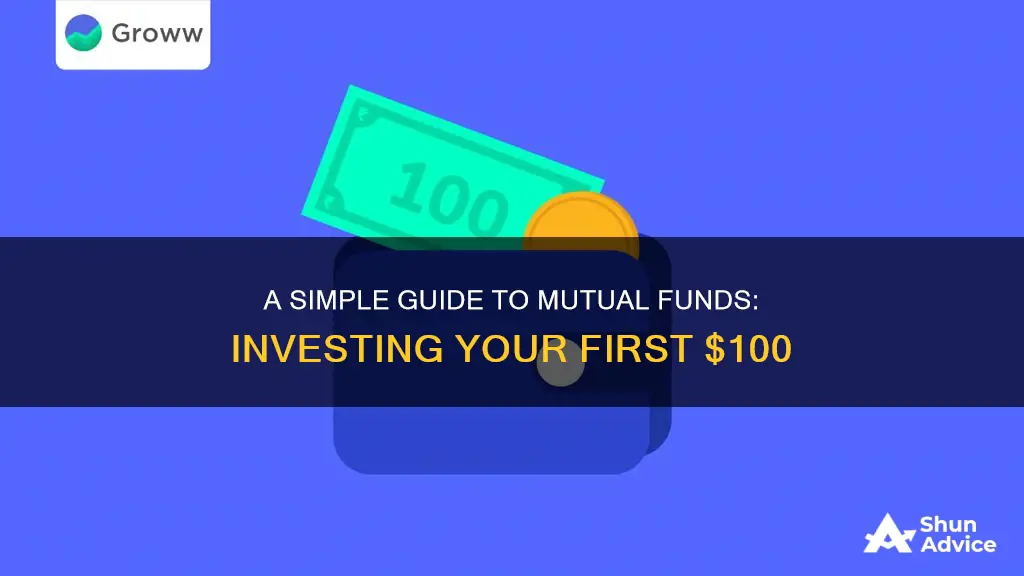 how to invest 100 in mutual funds