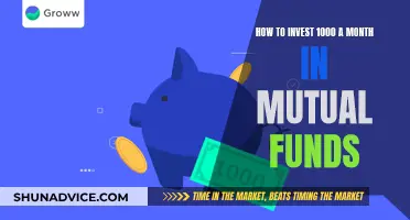 Monthly Mutual Fund Guide: Investing $1000 Wisely