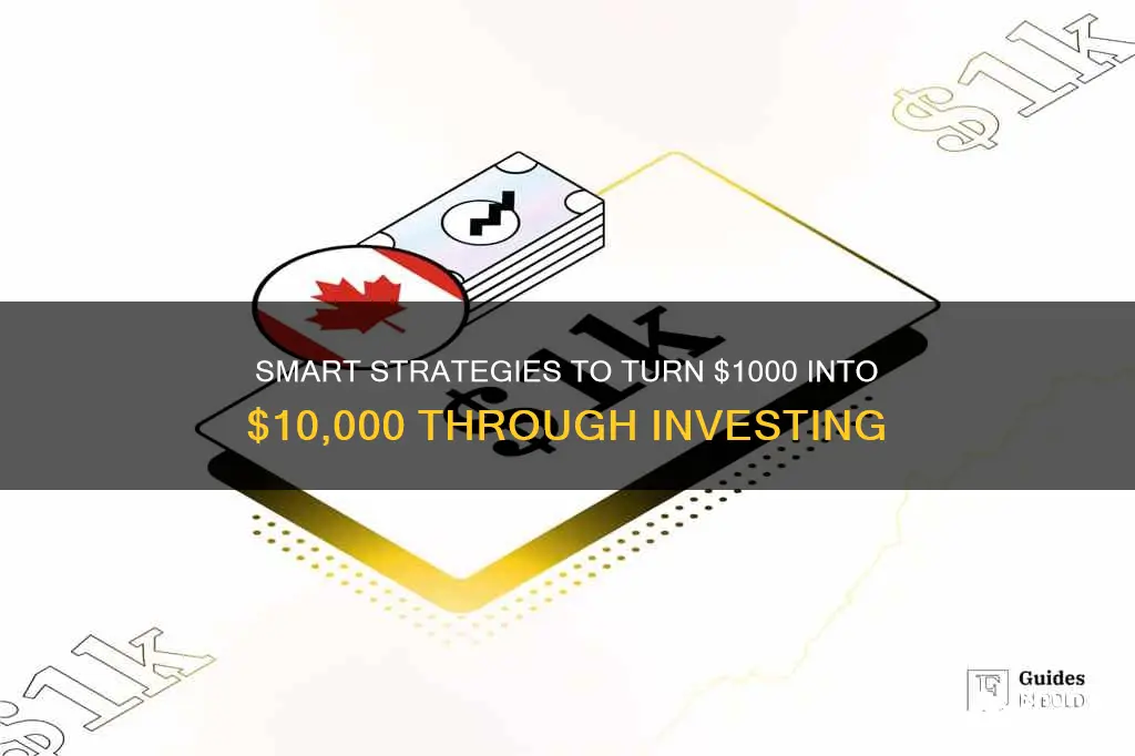 how to invest 1000 and make 10000