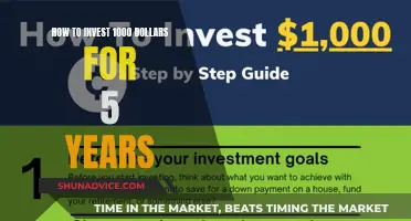 Maximize Your $1,000: 5-Year Investment Strategies for Beginners