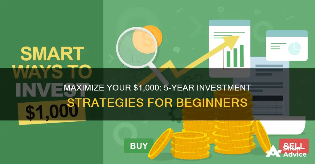 how to invest 1000 dollars for 5 years