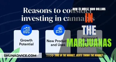 Maximize Your $1000: Smart Investment Strategies for the Cannabis Industry