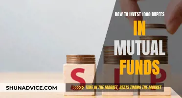 Smart Ways to Invest 1000 Rupees in Mutual Funds