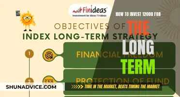 Maximize Your $12,000: Long-Term Investment Strategies for Financial Growth