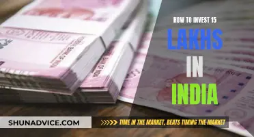 Smart Ways to Invest 15 Lakhs in India