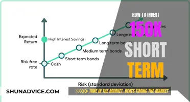 Maximize Your 150K: Short-Term Investment Strategies for Quick Wins