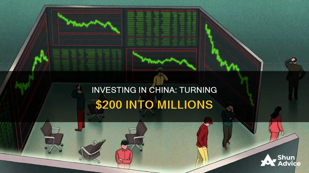 how to invest 200 in china and make millions