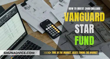 Smart Ways to Invest in Vanguard Star Fund with $2000