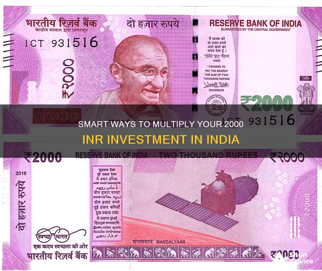 how to invest 2000 in india to multiply fast