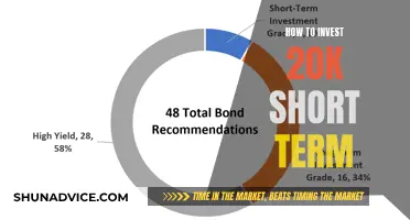 Maximize Your $20K: Short-Term Investment Strategies for Quick Wins