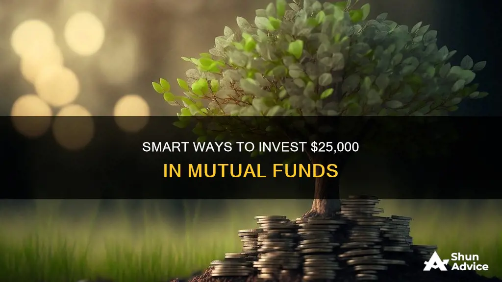 how to invest 25000 in mutual funds