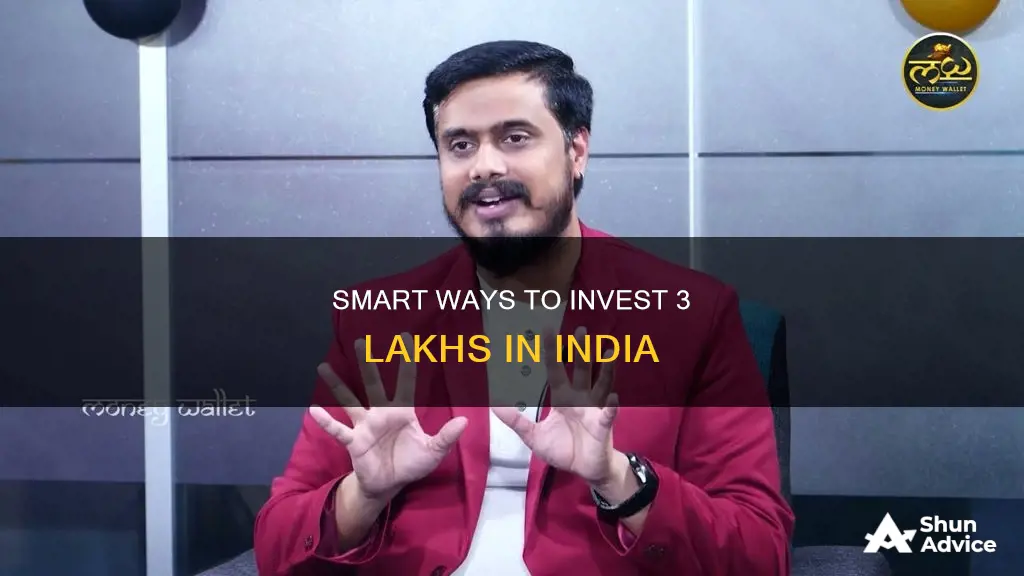 how to invest 3 lakhs in india