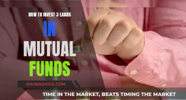 Smart Mutual Fund Investing with 3 Lakhs