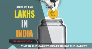 Smart Investing Guide: 40 Lakh Strategies for Indians