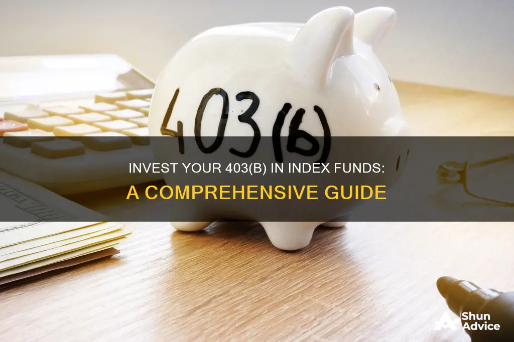 how to invest 403 b in index funds