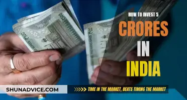 Smartly Investing 5 Crores in India: A Comprehensive Guide