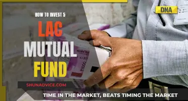 Smartly Investing 5 Lacs in Mutual Funds