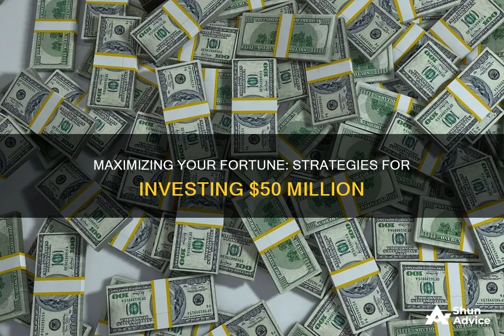 how to invest 50 million dollars