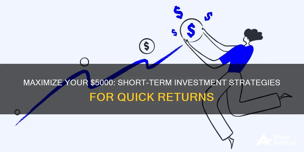 how to invest 5000 dollars short term