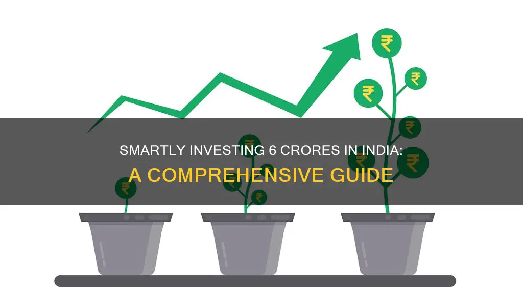 how to invest 6 crores in india