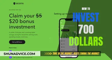 Maximize Your $700: Smart Investment Strategies for Beginners